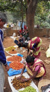 Women sorting vegetables